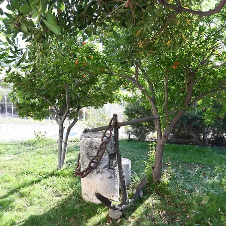 Villa Traditional With Swimming Pool, Lawn Yard And Bbq Kos Town