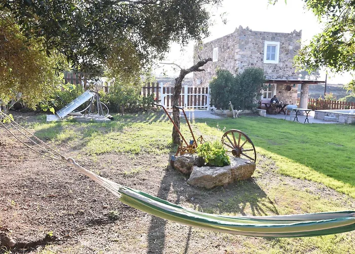Traditional With Swimming Pool, Lawn Yard And Bbq Вилла *
