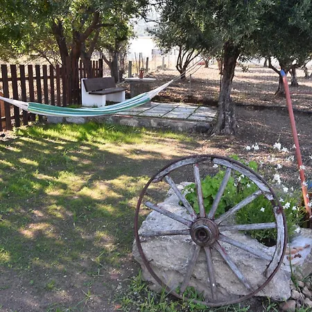 Villa Traditional With Swimming Pool, Lawn Yard And Bbq Città di Kos