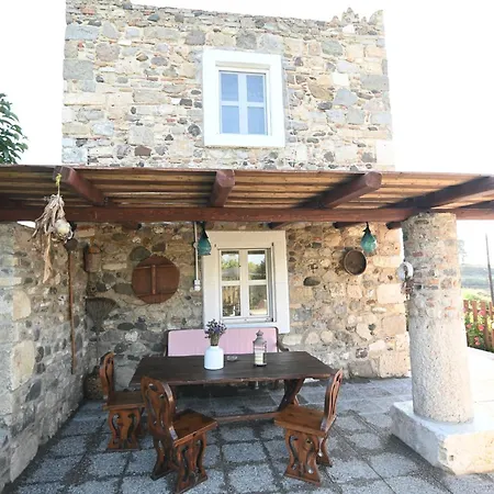 Villa Traditional With Swimming Pool, Lawn Yard And Bbq