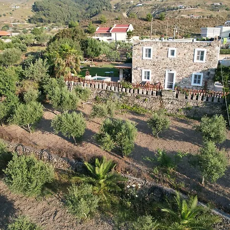 Traditional With Swimming Pool, Lawn Yard And Bbq