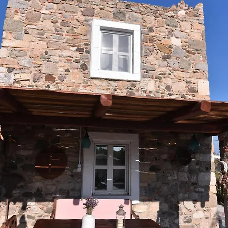 Traditional With Swimming Pool, Lawn Yard And Bbq *