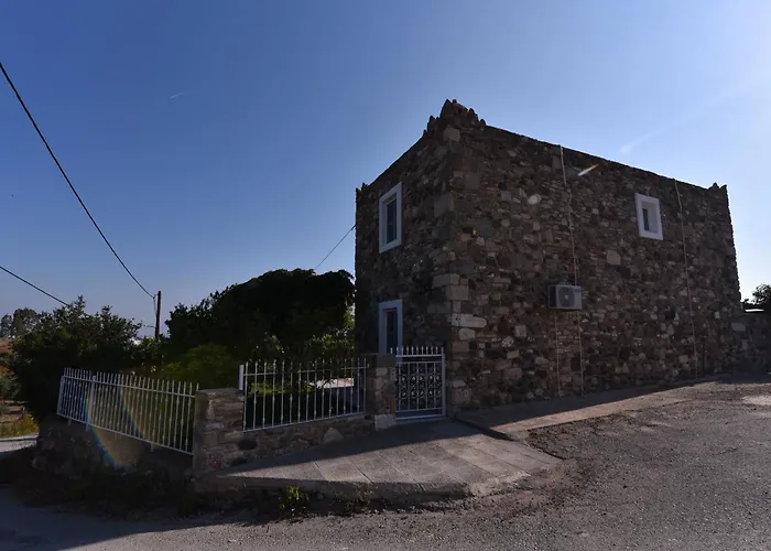 Villa Traditional With Swimming Pool, Lawn Yard And Bbq Kos