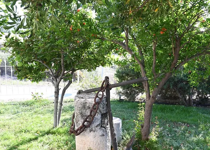 Villa Traditional With Swimming Pool, Lawn Yard And Bbq Kos