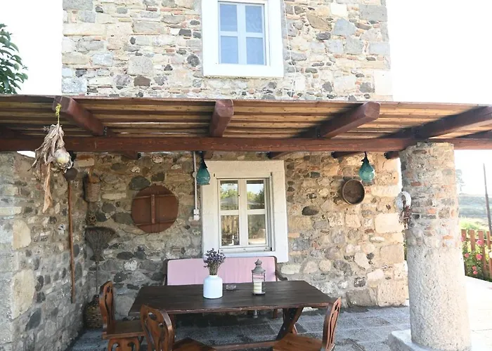Villa Traditional With Swimming Pool, Lawn Yard And Bbq