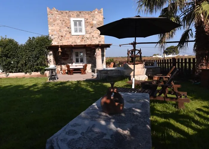 Villa Traditional With Swimming Pool, Lawn Yard And Bbq Kos