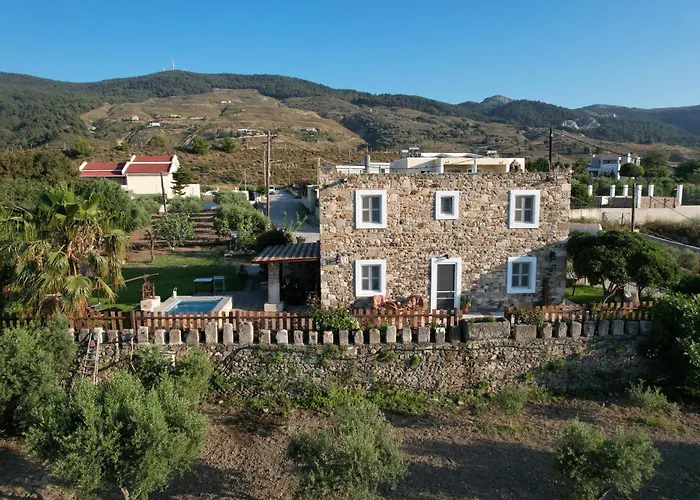 Villa Traditional With Swimming Pool, Lawn Yard And Bbq Kos