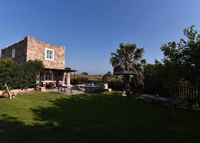 Traditional With Swimming Pool, Lawn Yard And Bbq Кос